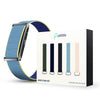Qore + 5 Straps Combo - Image 1
