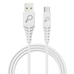 PBAC30 A to Type C Cable