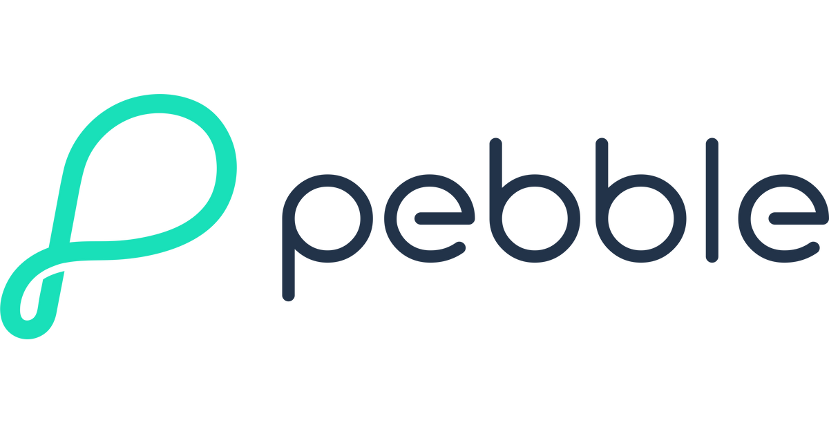Pebble hot sale watch company