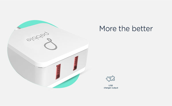 Pebble PWC22 Wall Charger