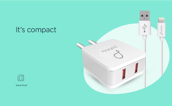 Pebble PWC22 Wall Charger