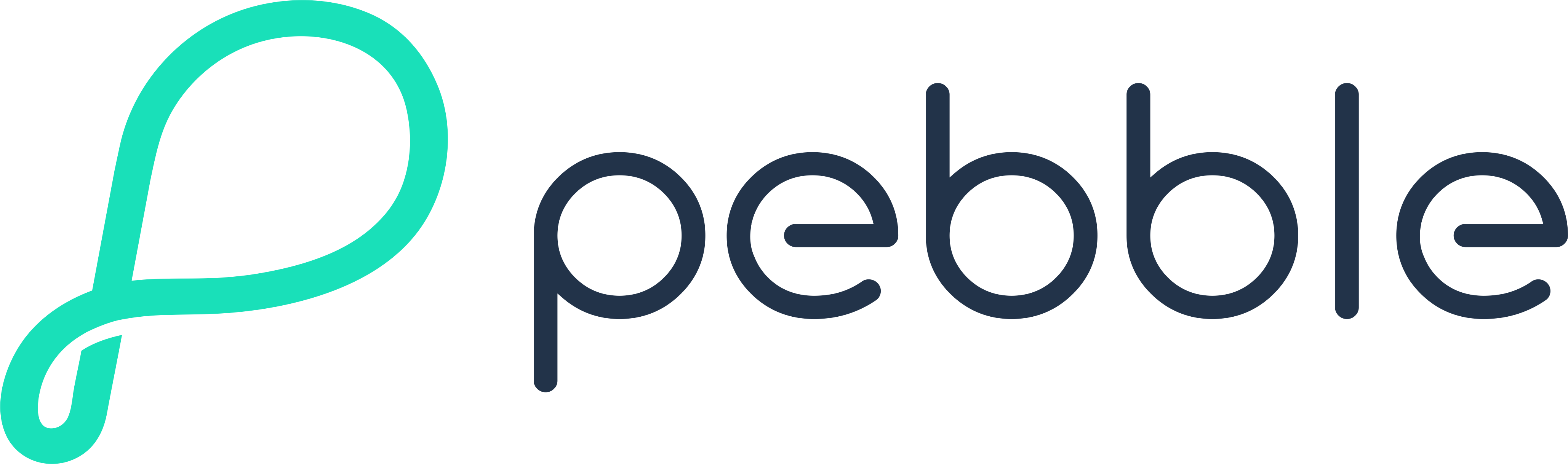 Pebble