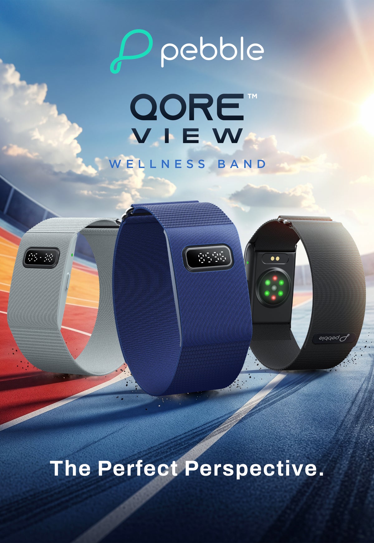 Qore View wellness band
