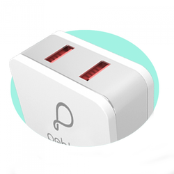 Pebble PWC22 Wall Charger